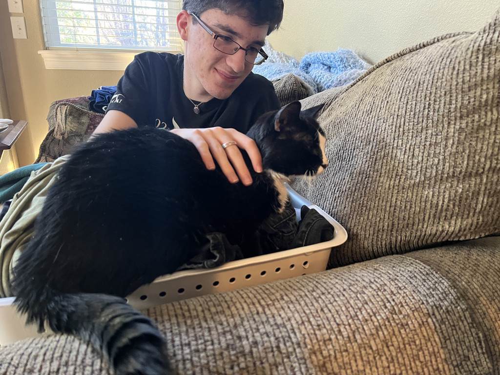 Henry helps fold laundry