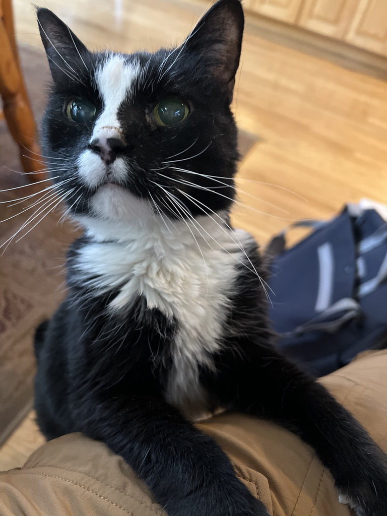 Henry was glad we came home