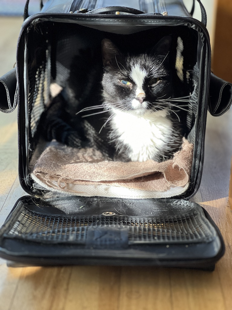 Now he wants to travel