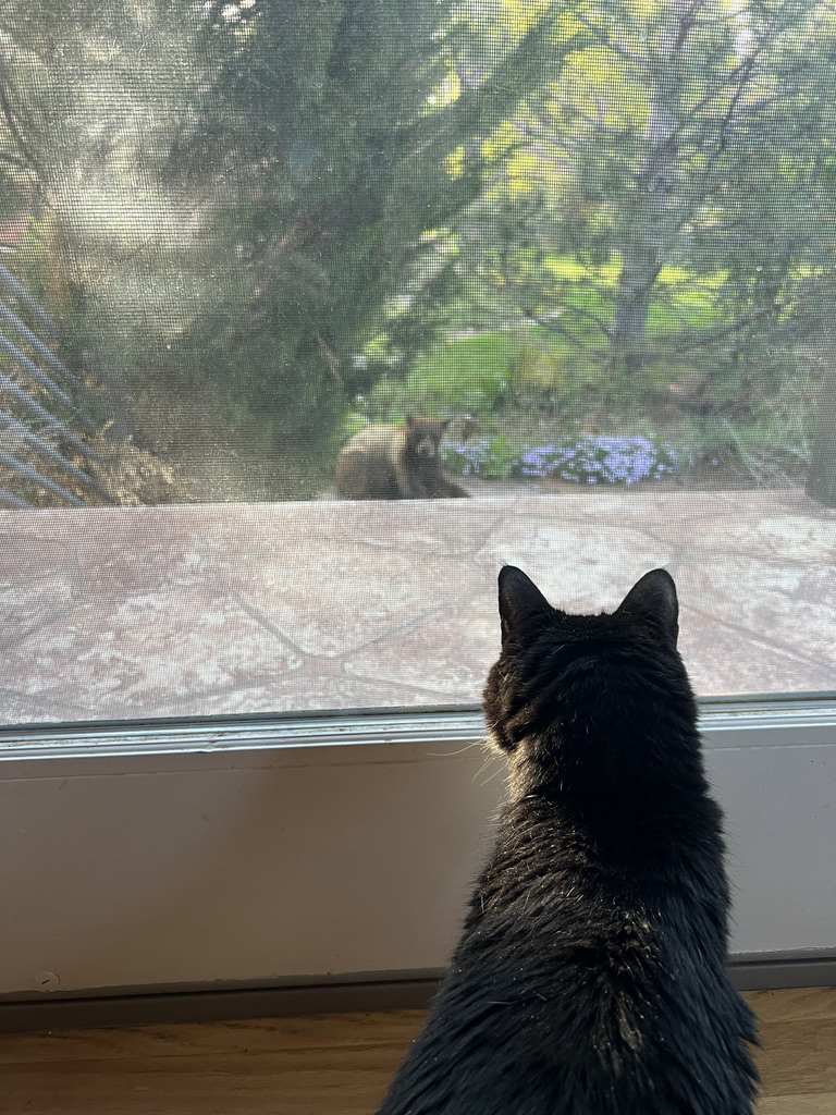 Henry says if friend shaped why not friend?