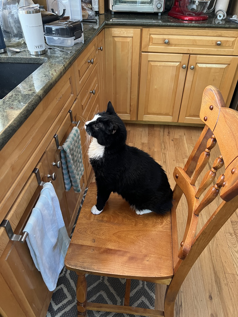 Still too short to do the dishes