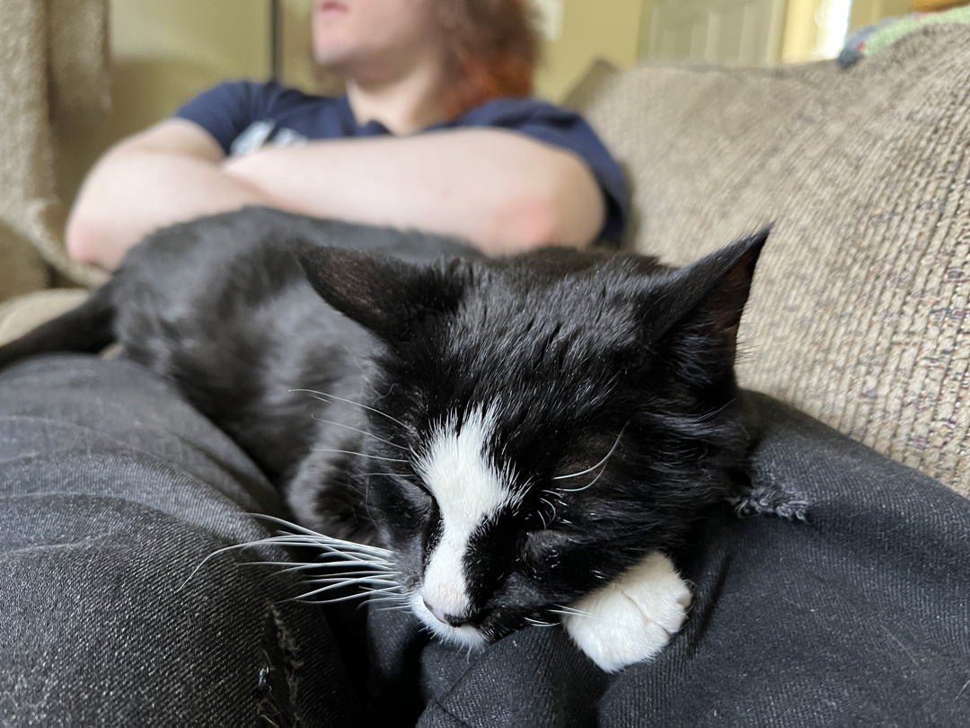 Happy Tim is home