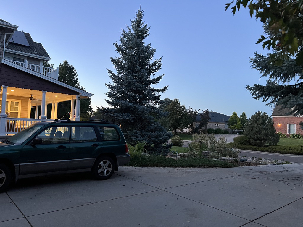 Bye aspens