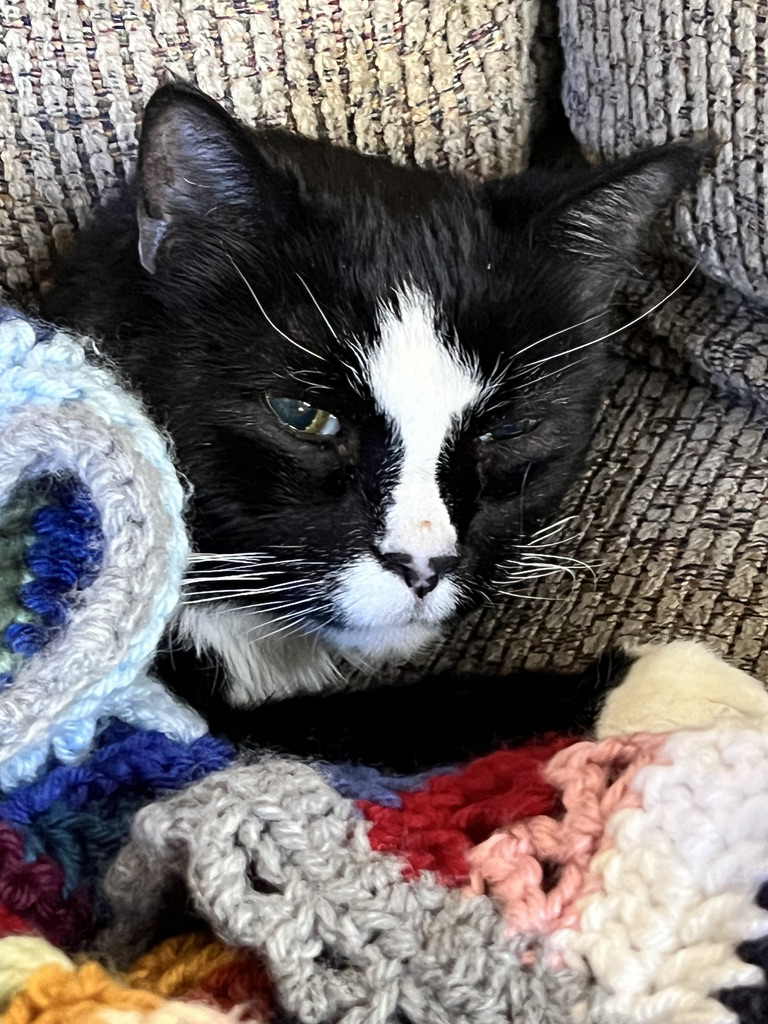 Snuggly