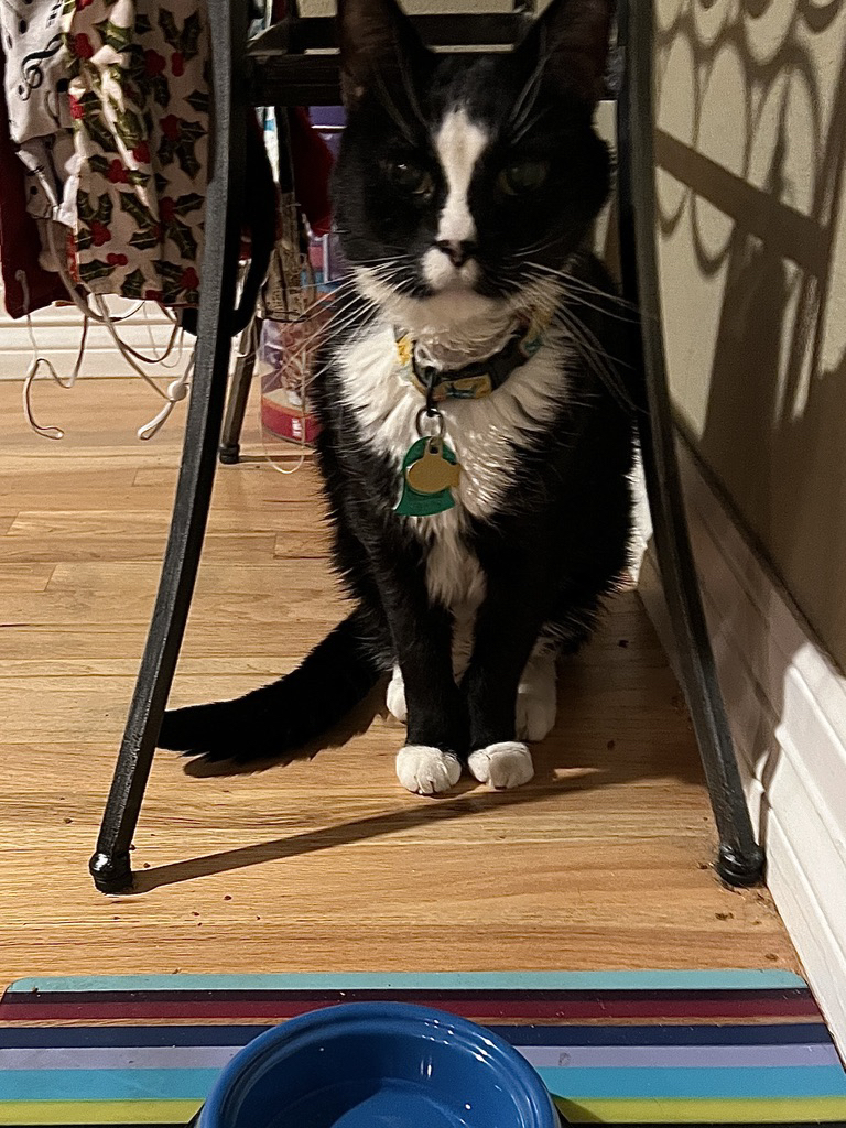 Waiting at the watering hole