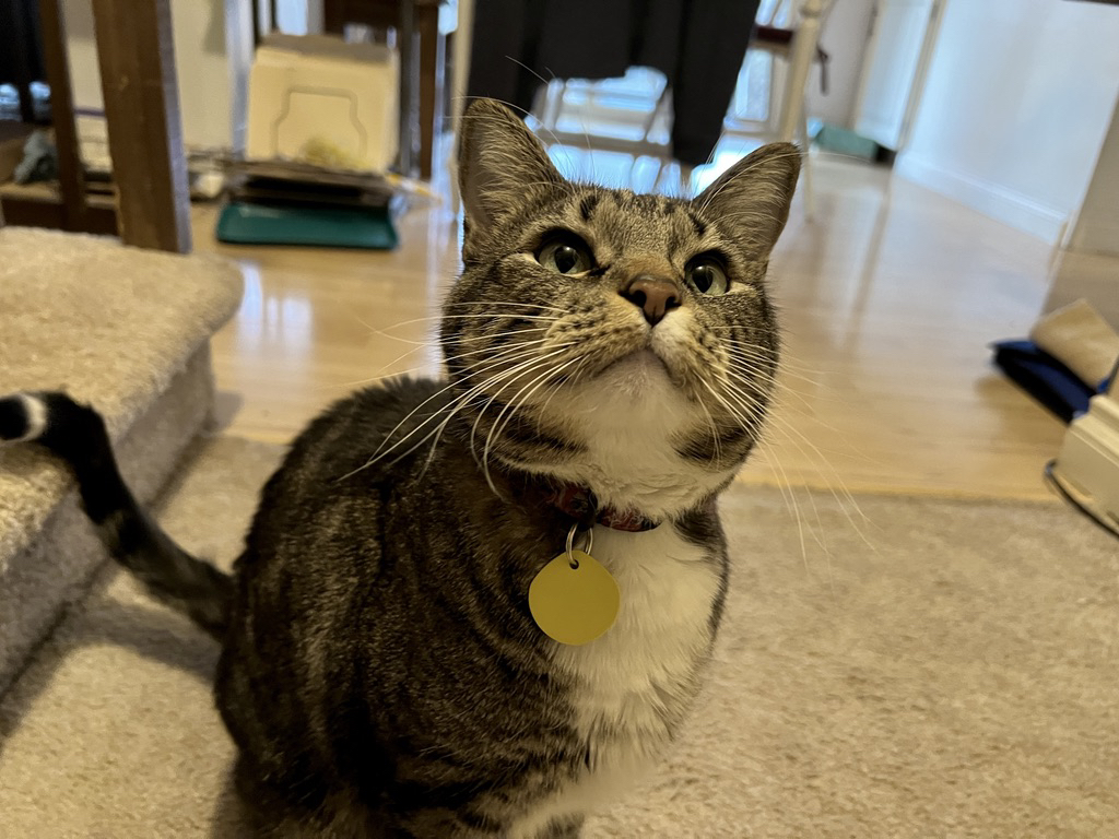 David is attentive