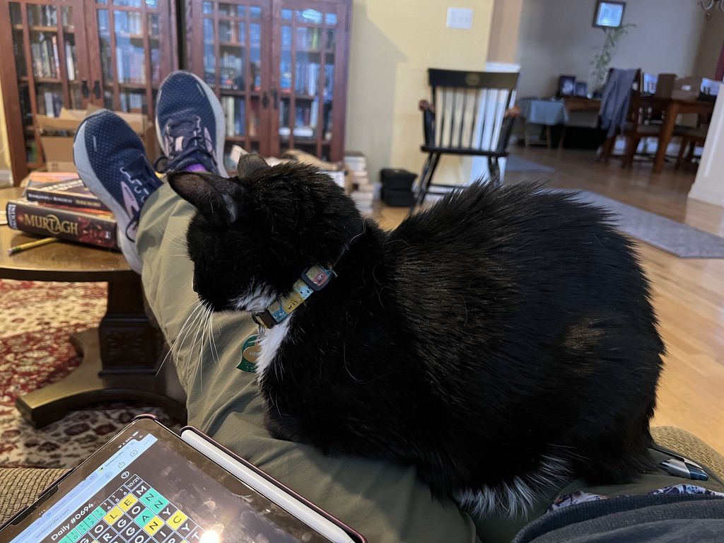 Henry helps with word puzzles