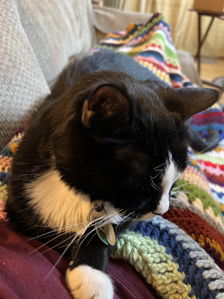 Henry as a blanket
