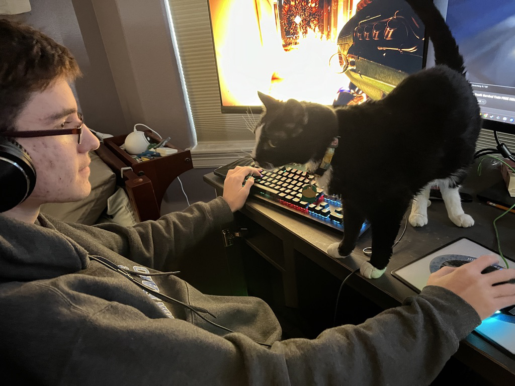 Gamer cat