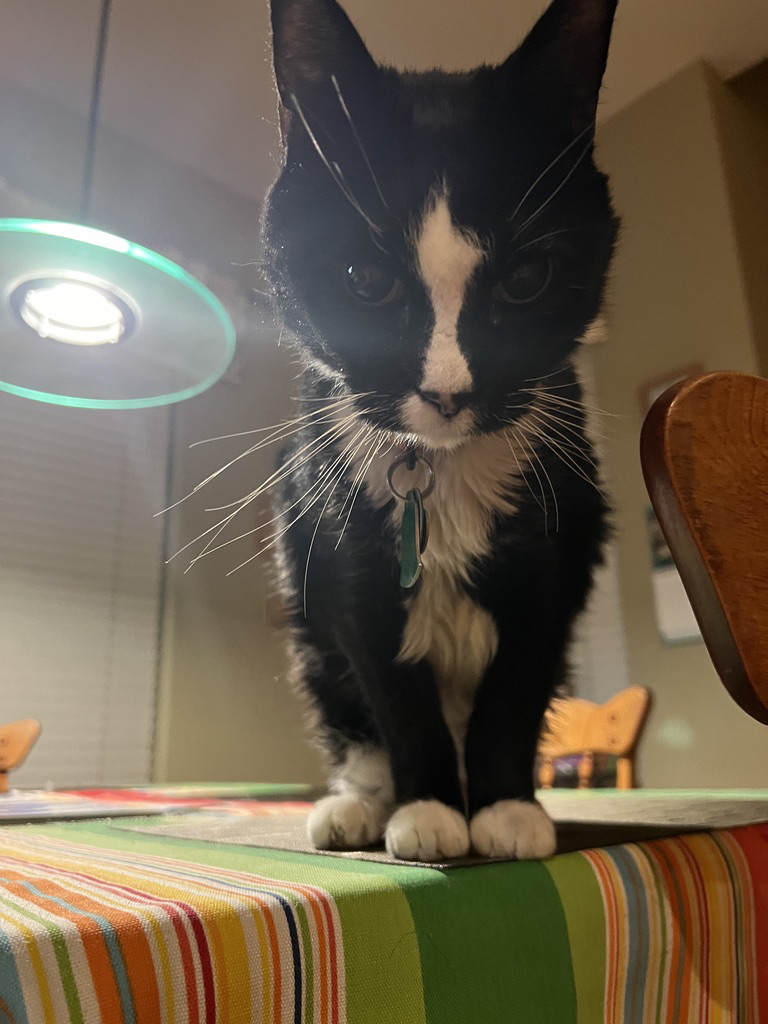 It might be dangerous to tell him to get off the table