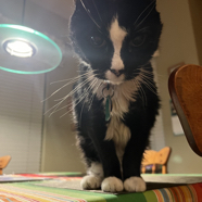 01E14114-A8C1-4123-A044-929E18473456_1_105_c.jpeg
