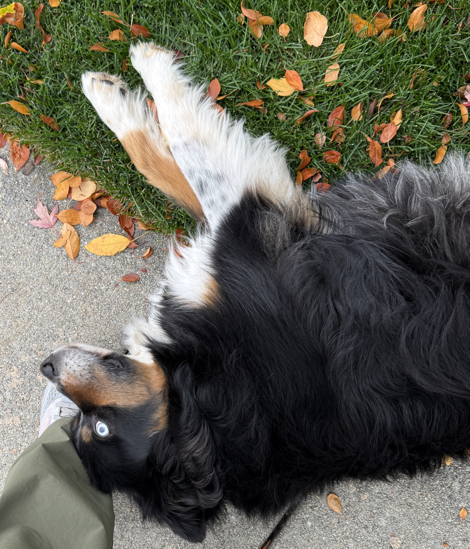Bonus end-of-walk content