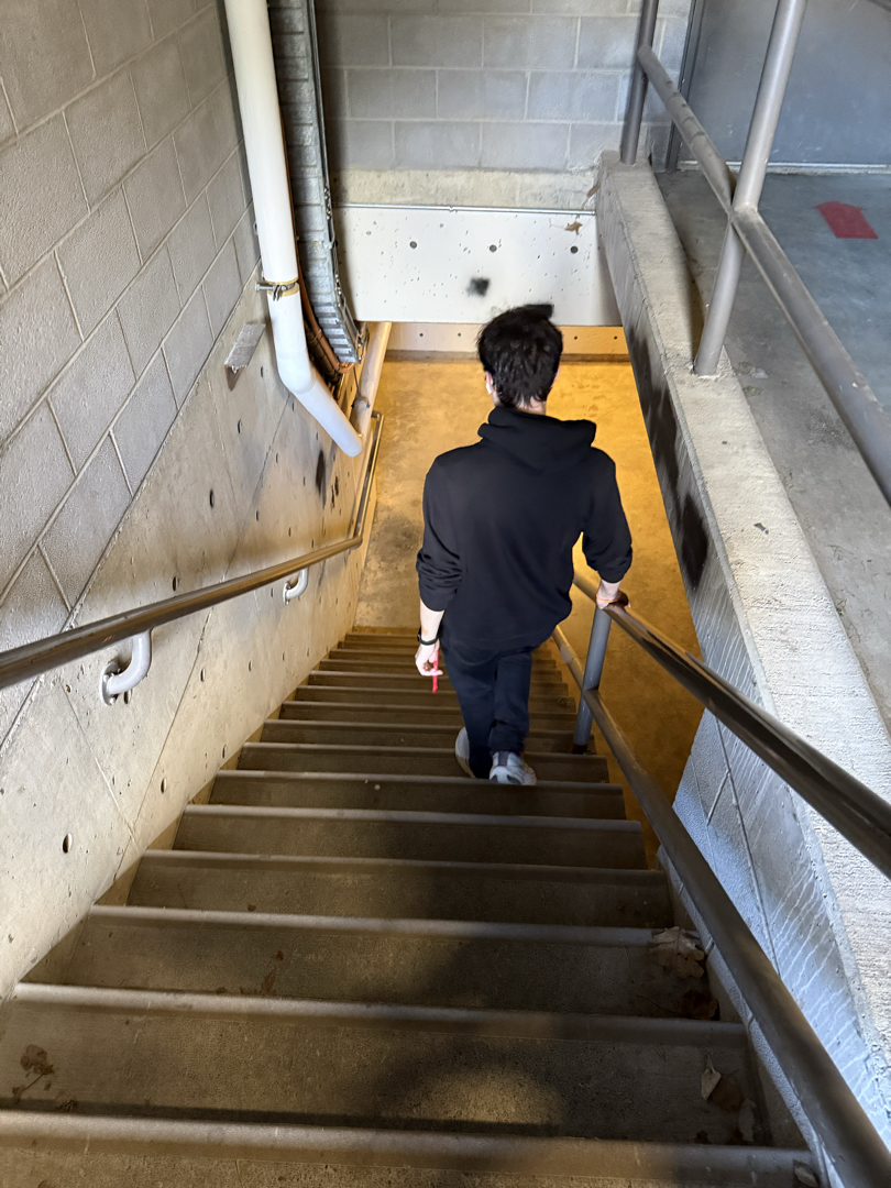 Down into the Physics tunnel