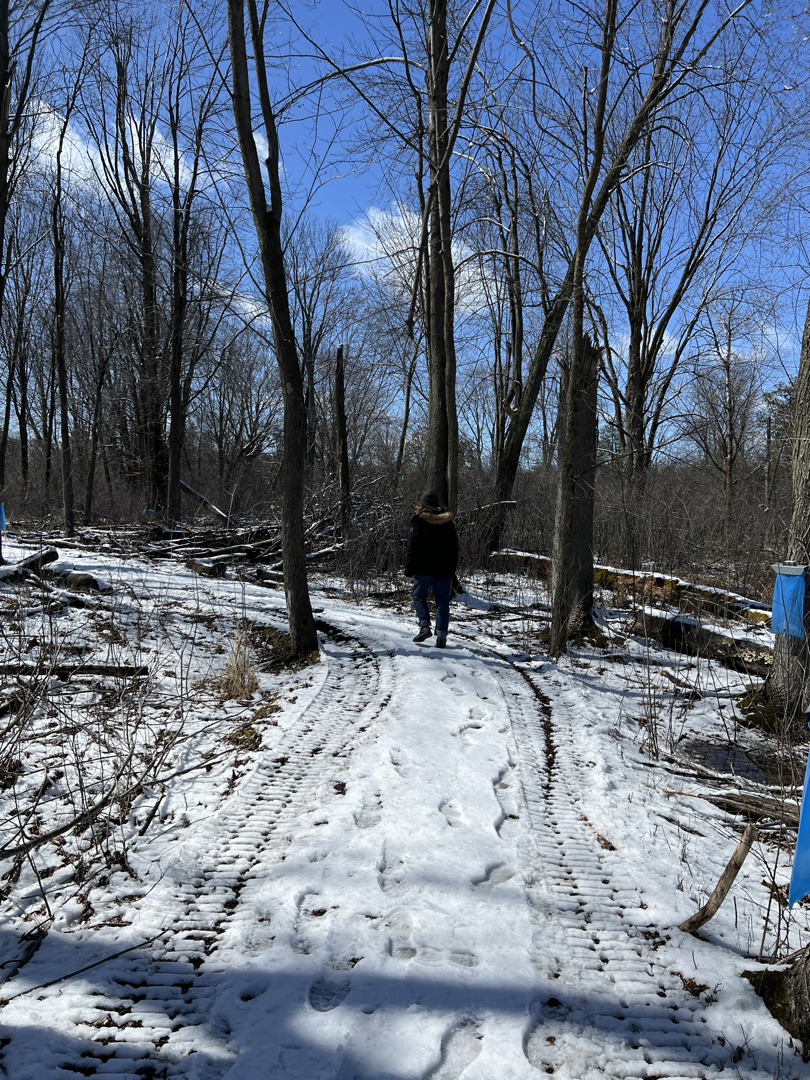 Snowy, muddy trails