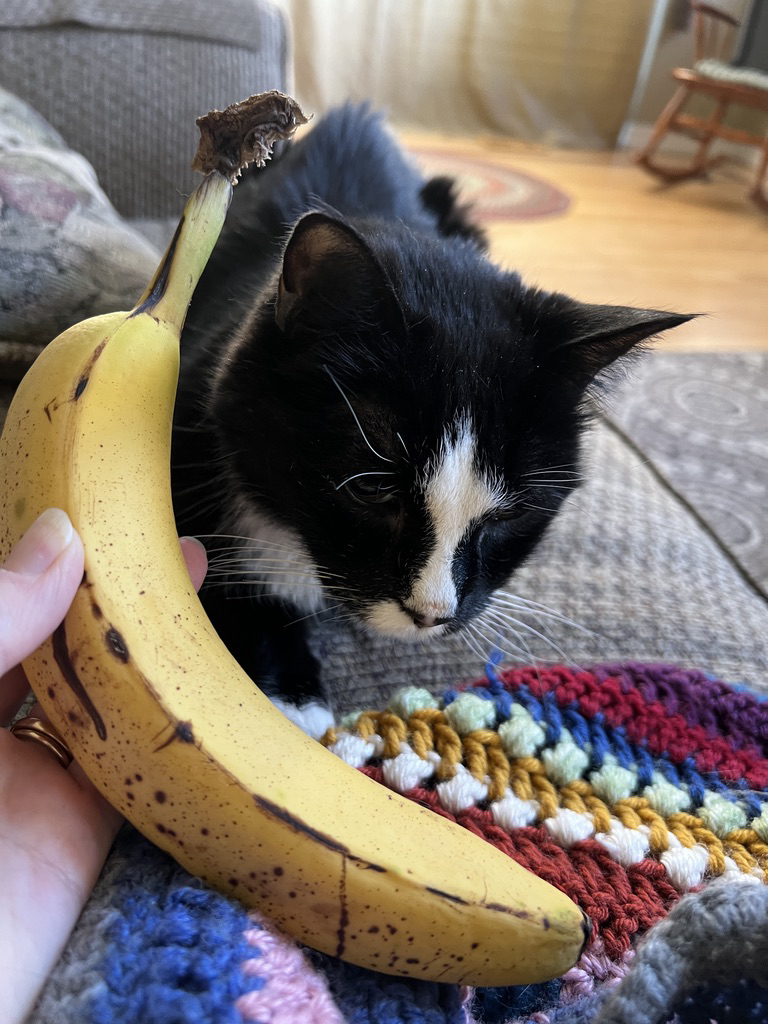 Henry makes some final calls on his banana phone