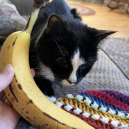 066D29BD-63F7-4EB5-A284-DD02D062290F_1_105_c.jpeg