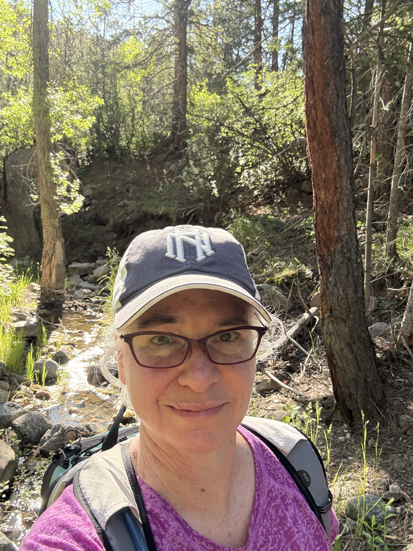 Sunny forest hike