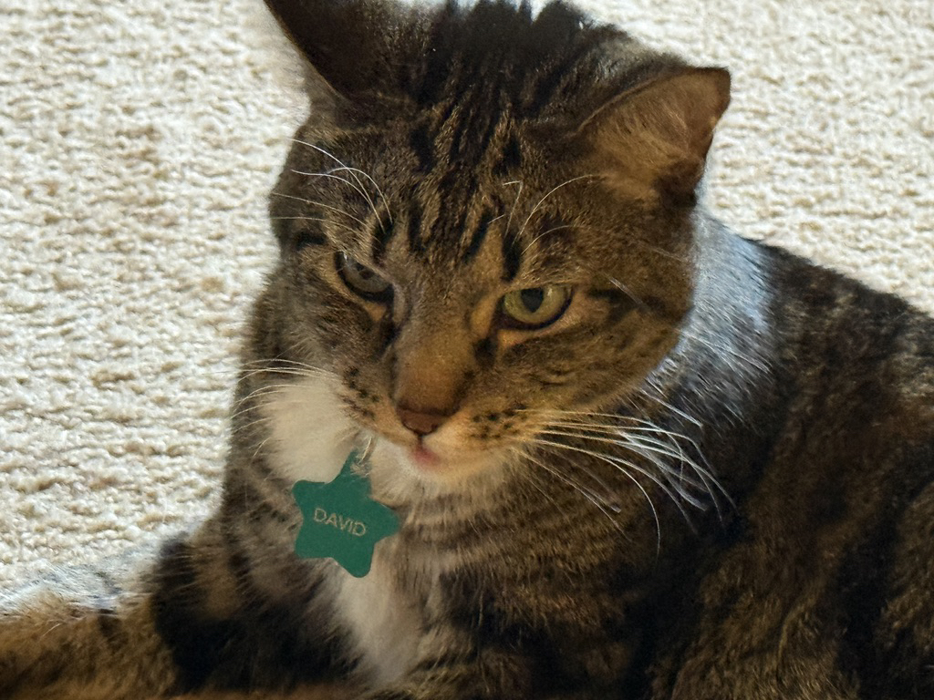 Small mlem