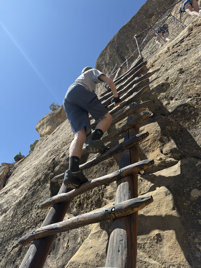 Ted climbs a ladder
