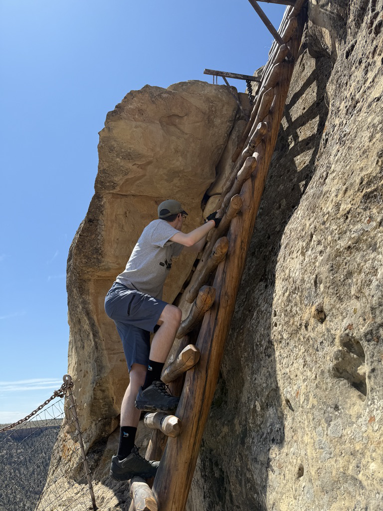 One more ladder