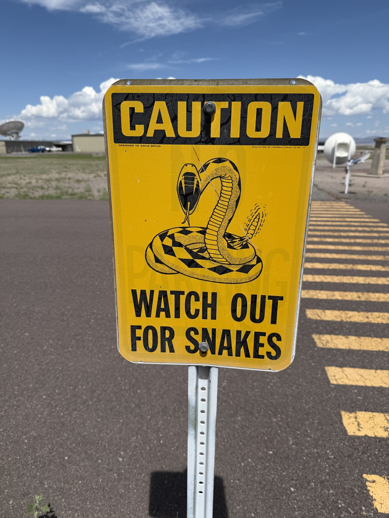 The VLA is serious about snakes