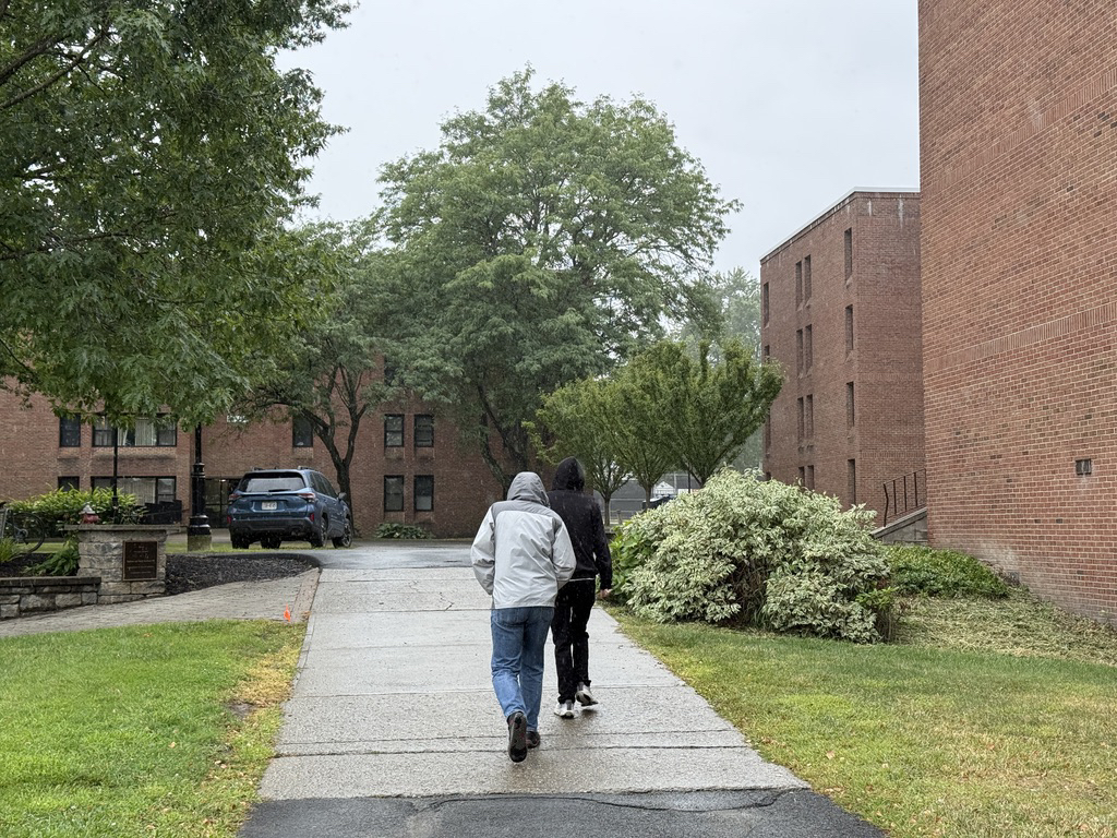 Rainy Troy day